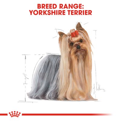 Royal Canin Yorkshire Terrier Adult Loaf