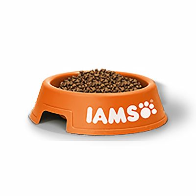 IAMS Proactive Health Multi-Cat al salmone e pollo, cibo secco per gatti