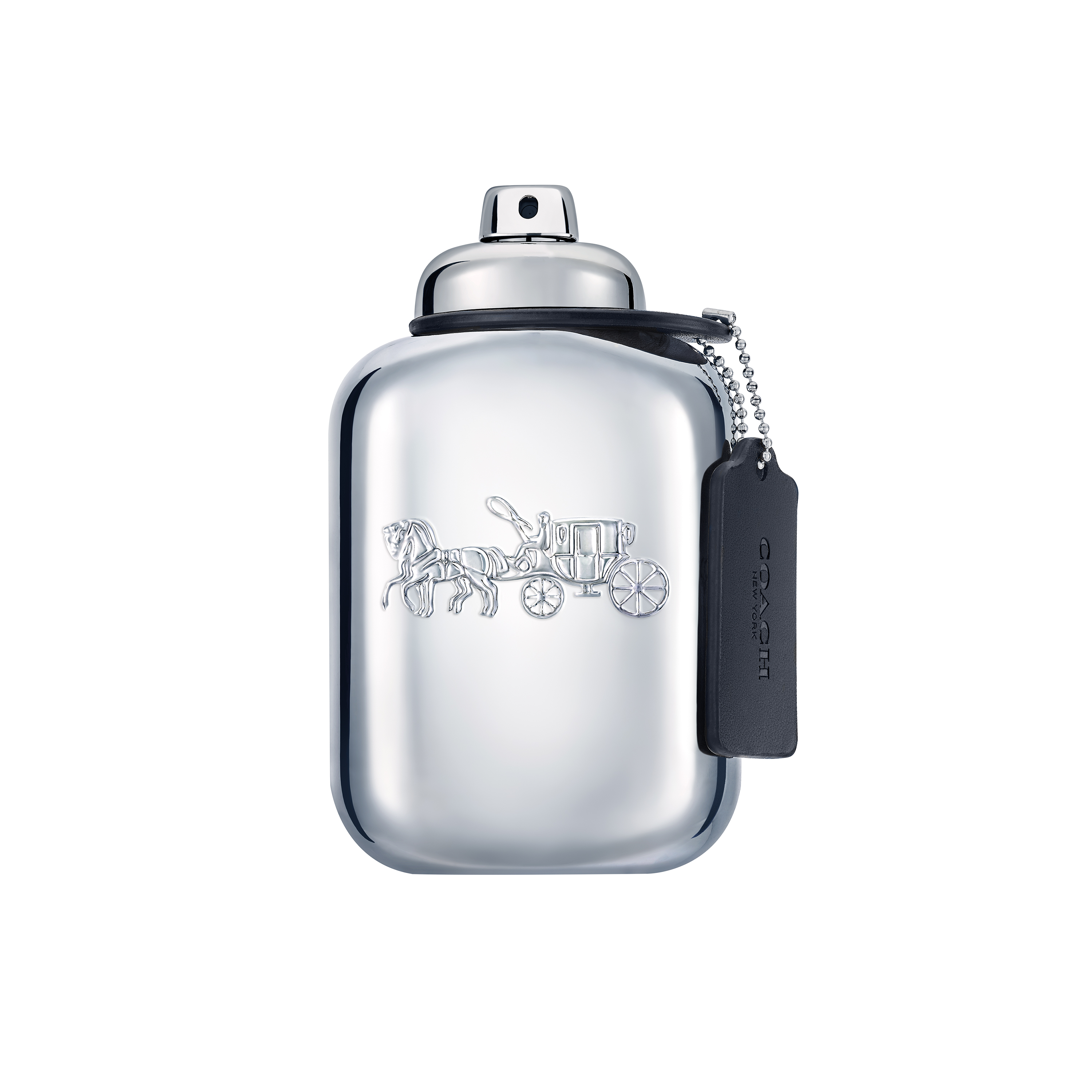 Platinum Man EdP 100 ml - Coach