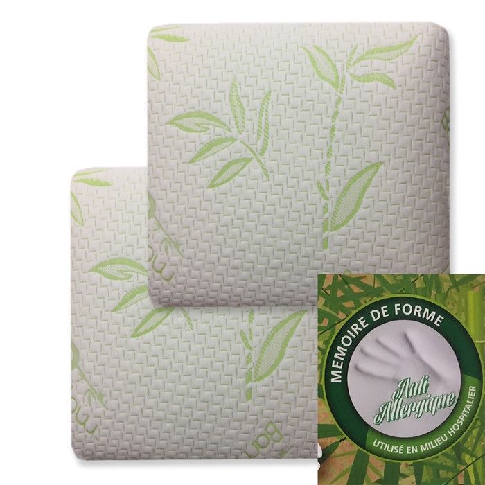 ALPES BLANC - Juego de 2 almohadas de espuma viscoelástica de 60x60 cm - Soporte cervical, hipoalergénicas, confort duradero - reparadoras