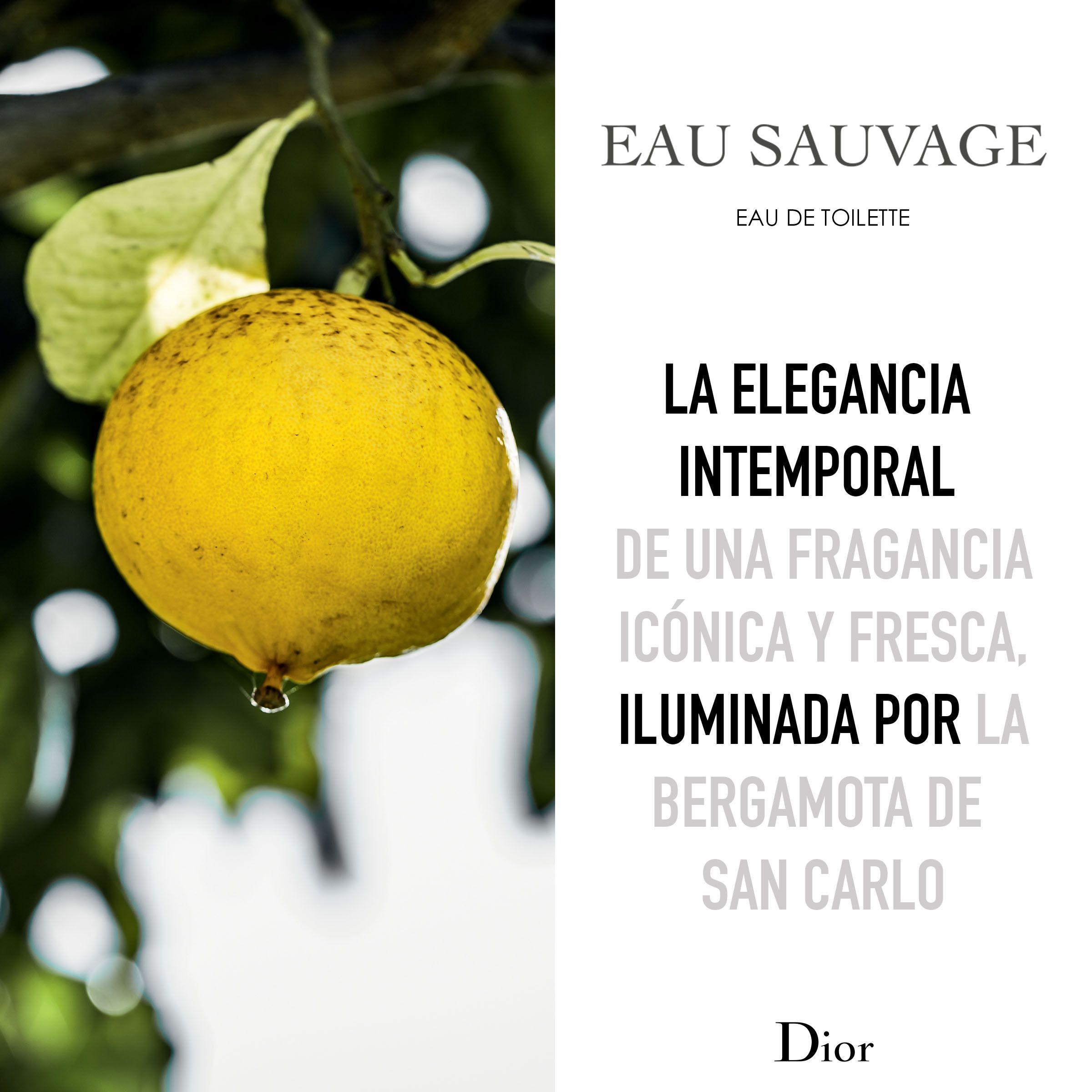EAU SAUVAGE Eau de Toilette Kvepalai vyrams