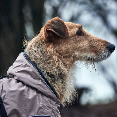 Płaszcz dla psa HUNTER Uppsala