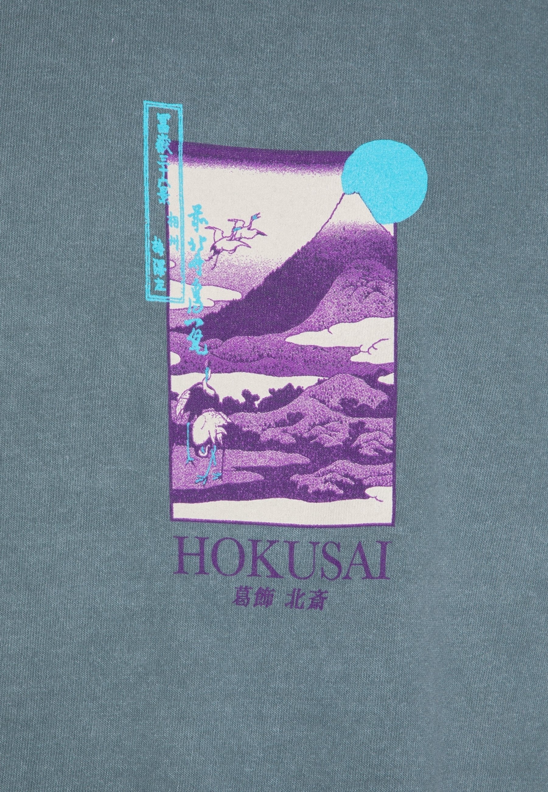 BDG Urban Outfitters T-shirt met print - blauw