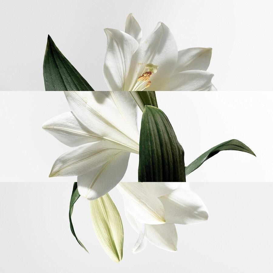 HERMÈS tualetinio vandens kolekcija Parfum Jardin Un Jardin Sur La Lagune tualetinis vanduo – 30 ml