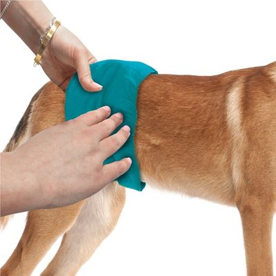 Scutec lavabil pentru câini Simple Solution - Masculin