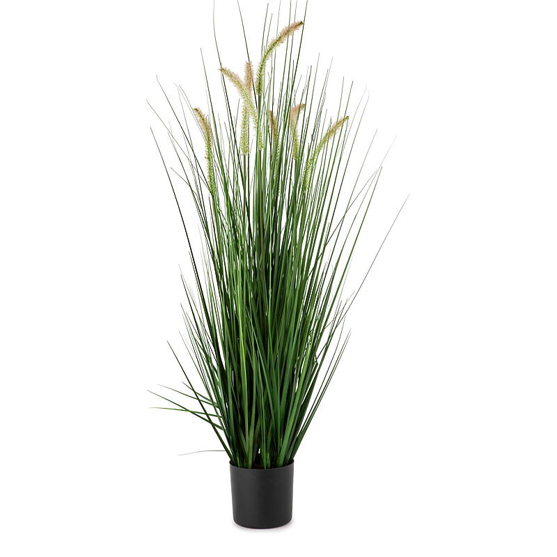 Koti Ruukkukasvi 100 cm pillillä