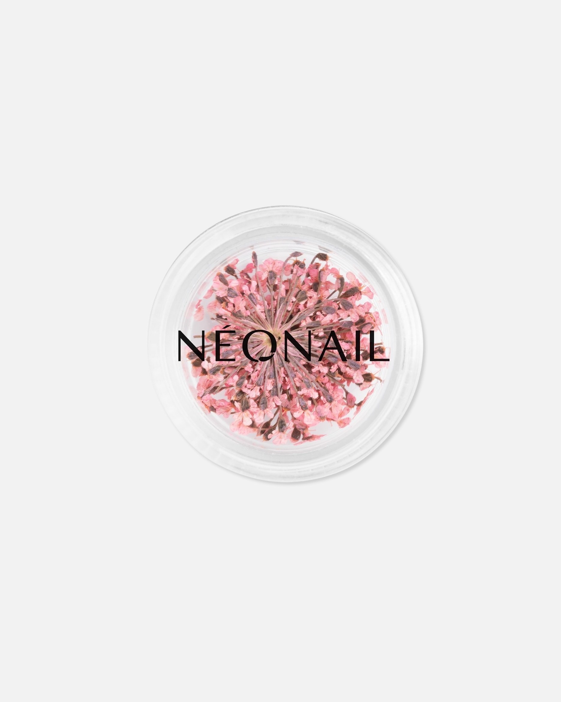 NEONAIL Nail Design Kolekcia Múza v sebe - 2 g