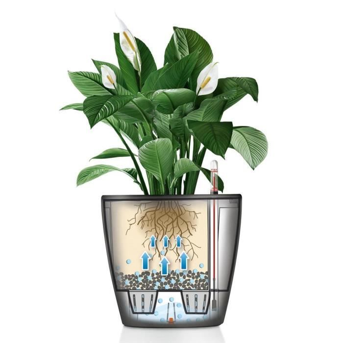 LECHUZA Classico Premium Blumentopf – Komplettset – Metallic-Anthrazit – Ø 21 x H 20 cm – 3 Liter Fassungsvermögen