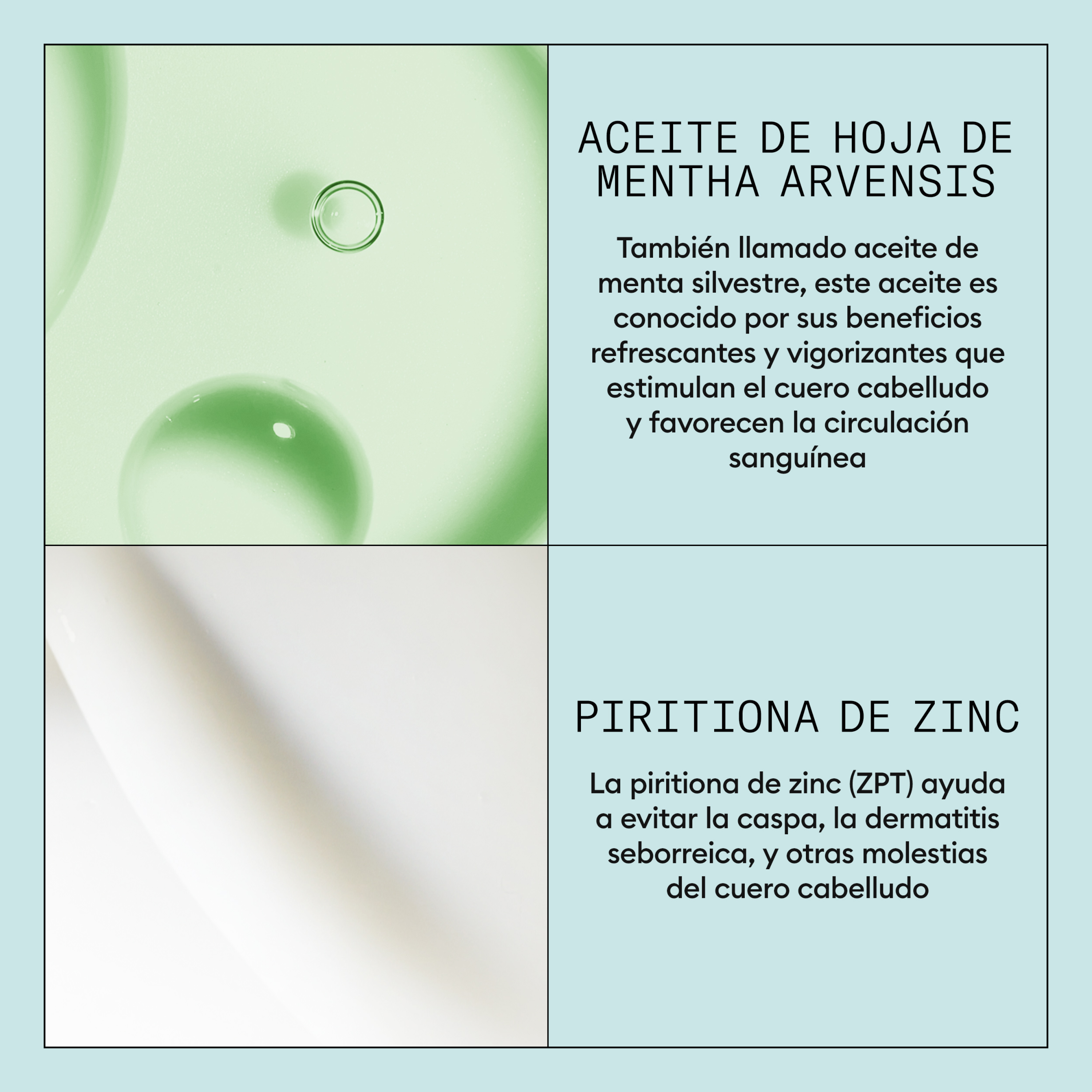 Šampon za pročišćavanje vlasišta Šampon protiv peruti Tretmani/šamponi protiv peruti