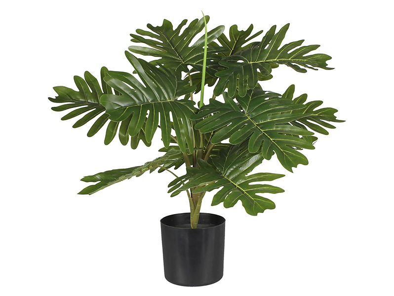 Sztuczna roślina w doniczce filodendron 55 cm