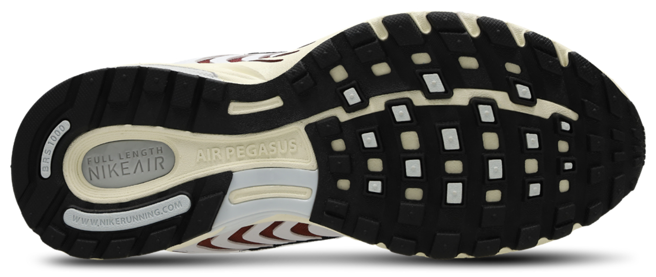 Nike Pegasus 2005