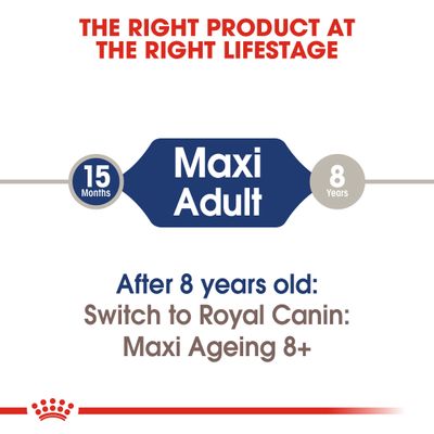 Royal Canin Maxi Adult i sovs