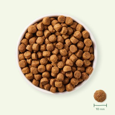 Yarrah Organic Adult med økologisk kylling