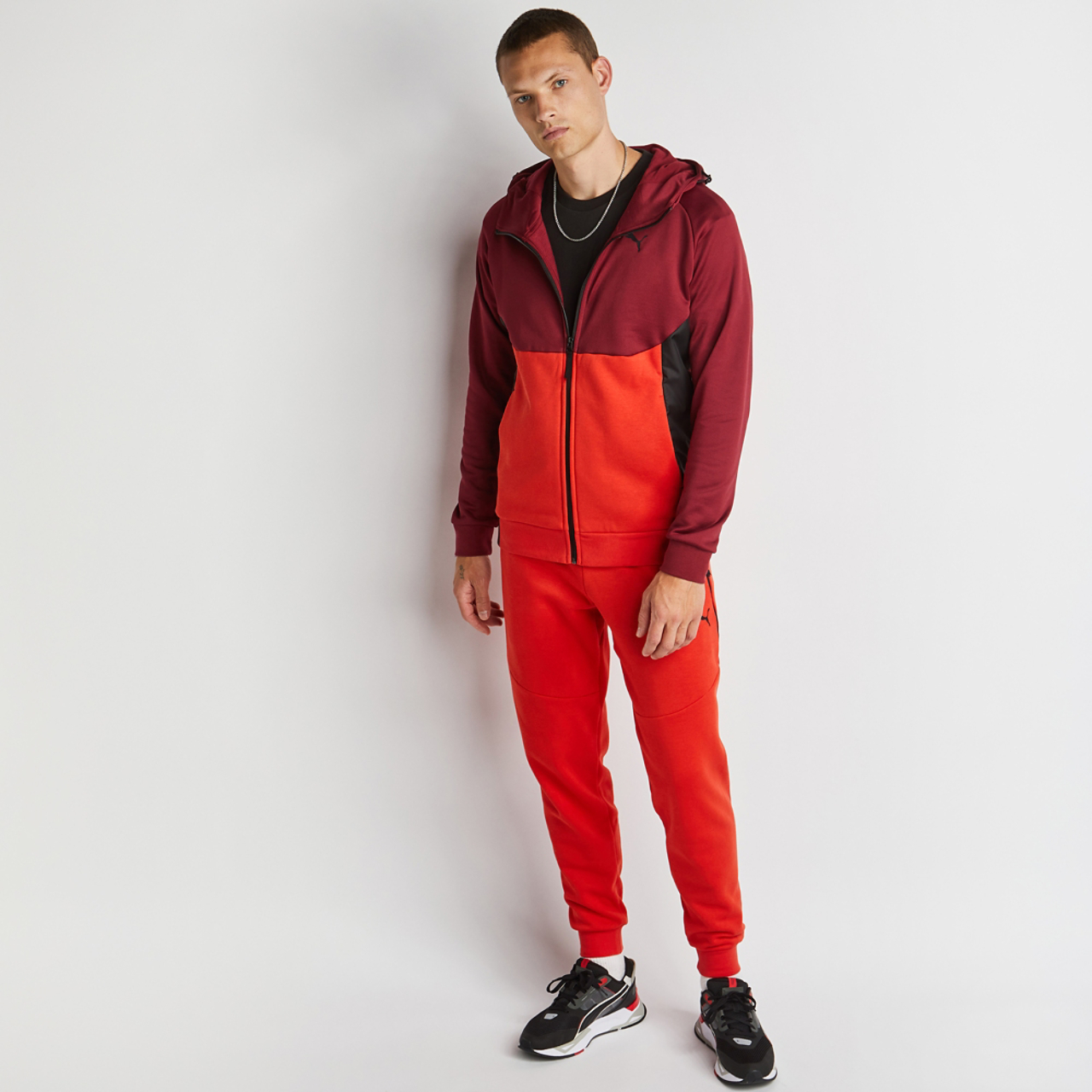 Puma Pumatech