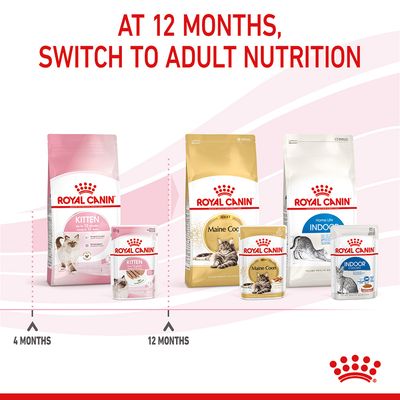 Royal Canin Kitten σε καρβέλι