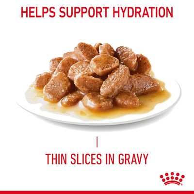 Royal Canin Light Weight Care σε σάλτσα