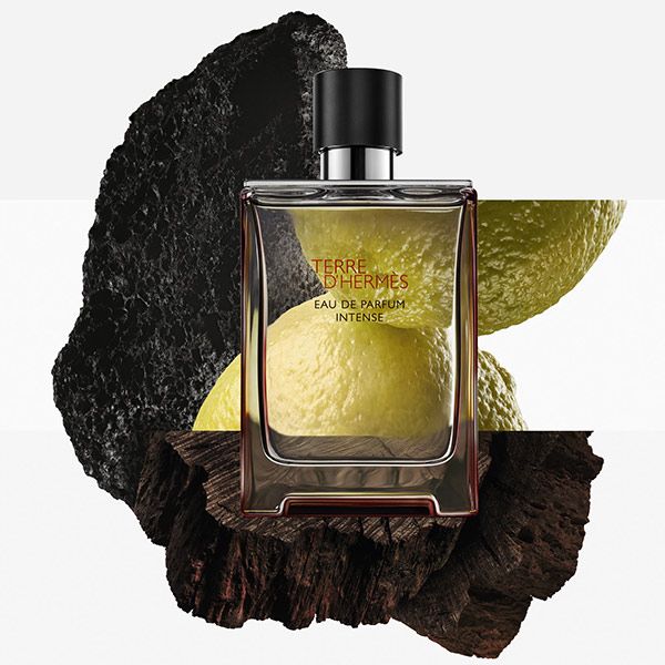 Terre d'Hermès Men Eau de Parfum Intense Muški parfemi