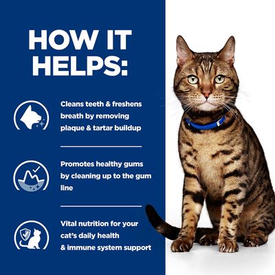 Hill's Prescription Diet Feline t/d Dental Care - Chicken