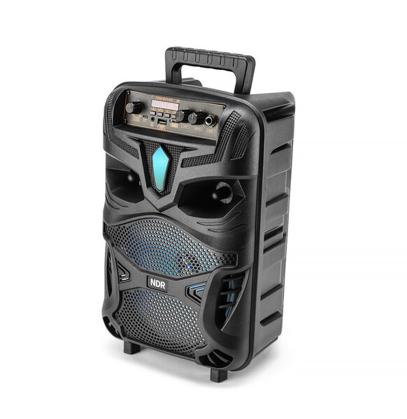 RED5 Bluetooth-Karaoke-Lautsprecher mit Mikrofon
