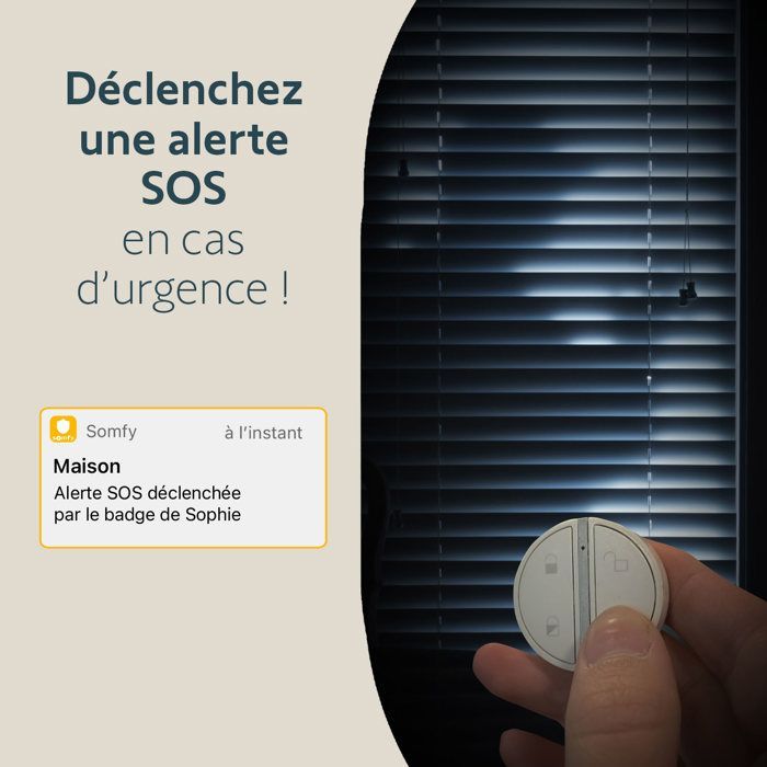 SOMFY 2401489 - Badge per attivazione e disattivazione allarme - Funzione vivavoce - Compatibile con Somfy Home Alarm (Advanced)