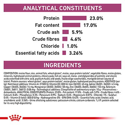 Royal Canin Vétérinaire Chat - Rénal