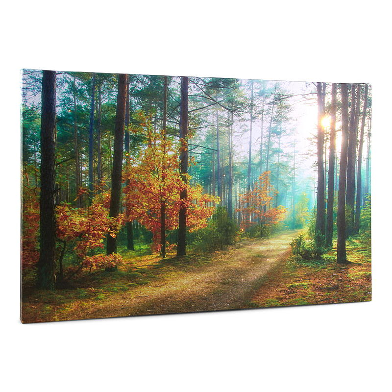 Hjem Lærredsbillede 38x58 cm LED/fiberoptik Efterår