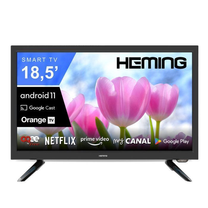 HEMING Smart TV 18,5'' 47 cm Android Connecté WIFI + Bluetooth - 12V/24V/220V - Camping Car Bateau Poids Lourd Cuisine