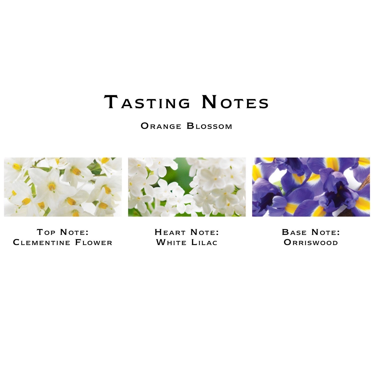 Jo Malone London Home Fragrance Scent Surround™ difuzorji z vonjem pomarančnega cveta - 165 ml