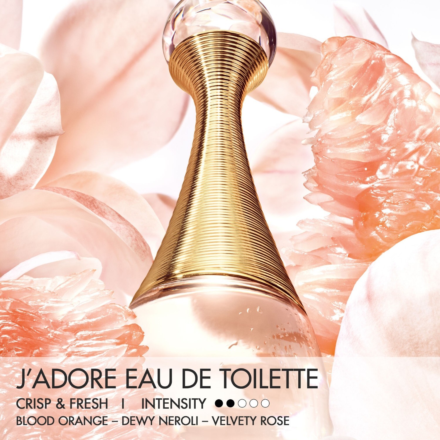 DIOR toaletna voda J'adore toaletna voda - 50 ml
