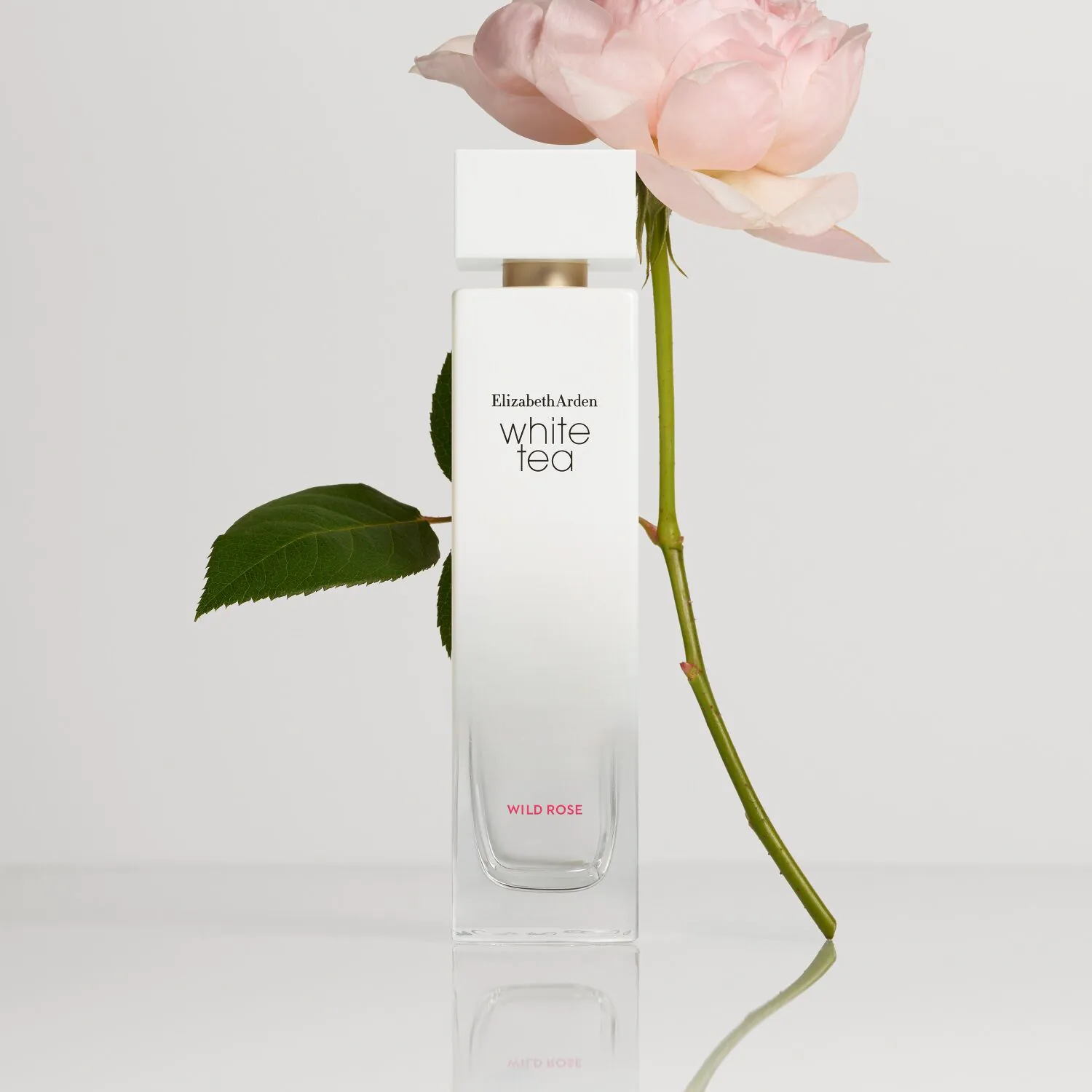 Elizabeth Arden White Tea Wild Rose Woda toaletowa dla kobiet 100 ml