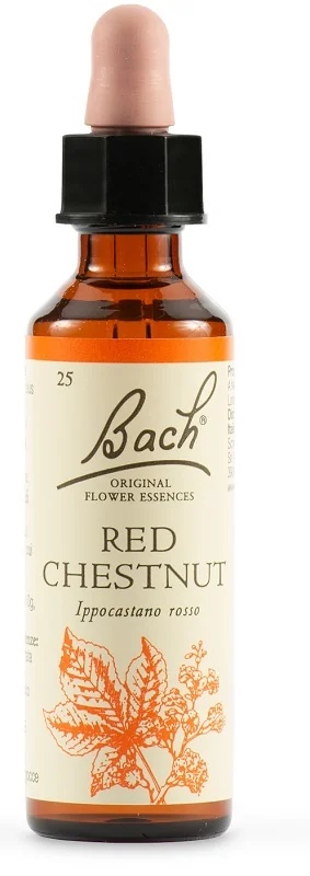 SCHWABE Schwabe Bachbloesems Rood 25 kastanjedruppels 20 ml