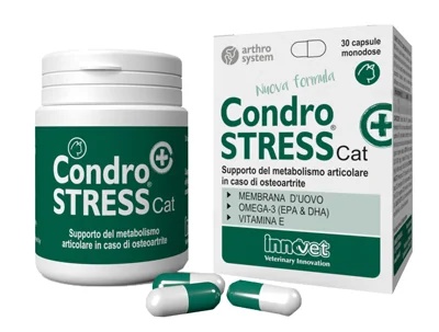 INNOVET Condrostress + Cat 30 capsules voor eenmalig gebruik ter ondersteuning van de gewrichtsgezondheid