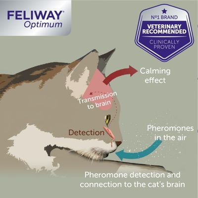 Ricarica Feliway® Optimum