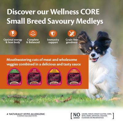 Wellness Core Small Adult Sausant Medleys Farmer Selection Nassfutter für Hunde