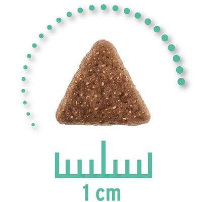 Concept for Life Dieta Veterinaria Ipoallergenica - Insetti