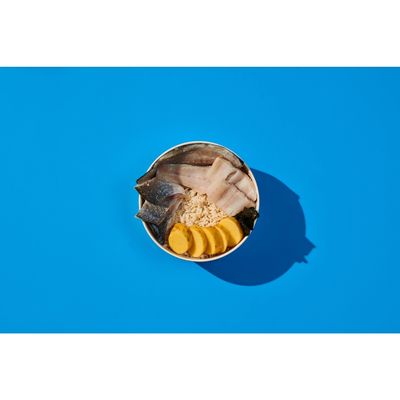 Naturediet Feel Good Adult - Pește alb