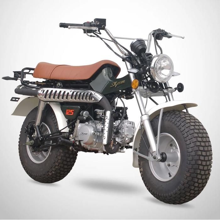 Mini Moto T-REX 125 SKYTEAM / Vert