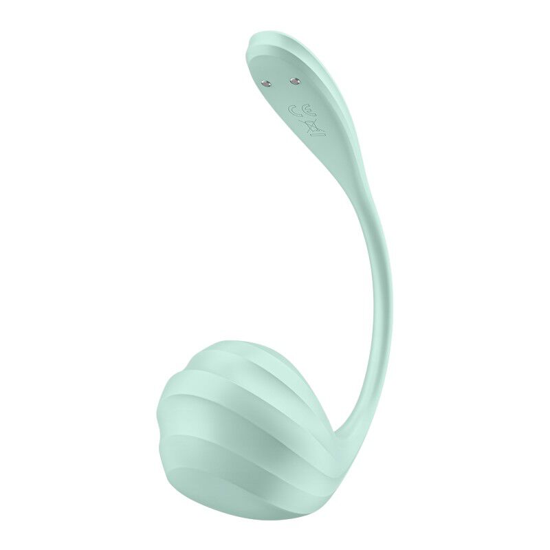 Satisfyer Smooth Petal Connect App