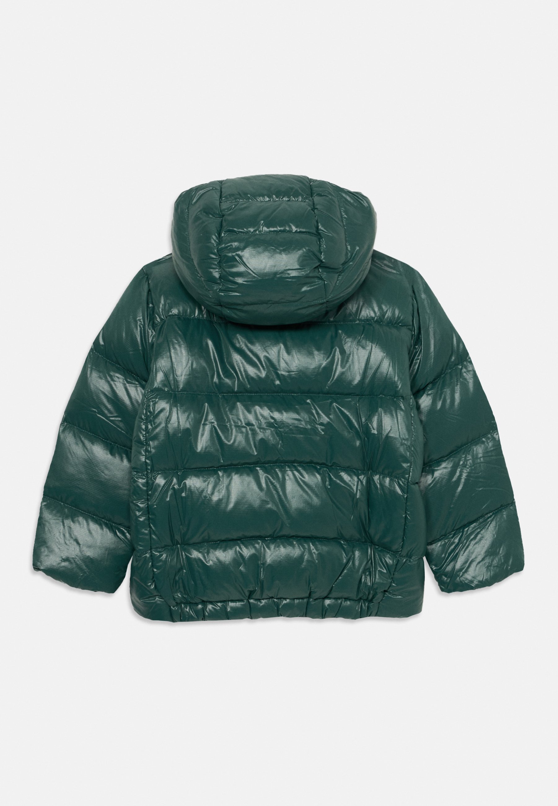 Patagonia BABY HOODY UNISEX - Donsjack - cascade groen