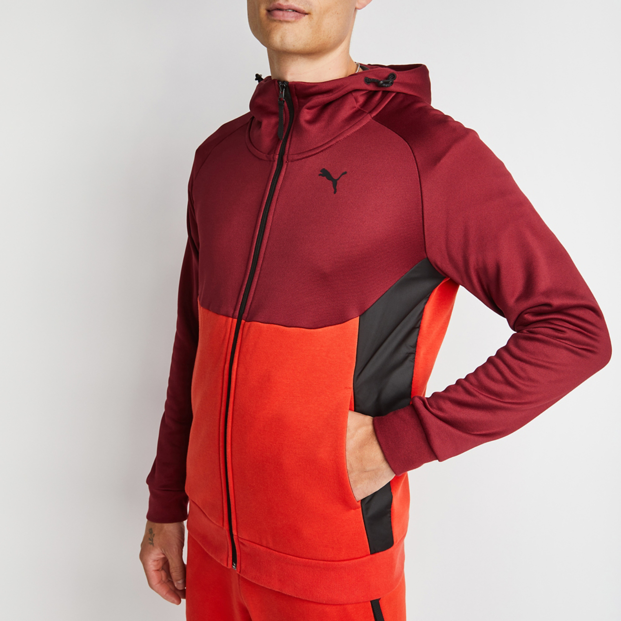 Puma Pumatech
