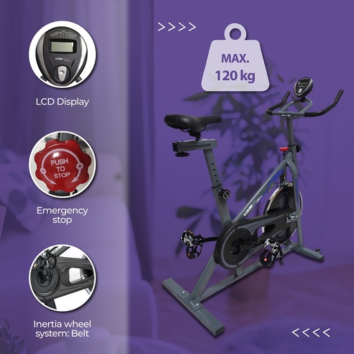 Keboo Series 300 Stationary Spinning Bike with 6 Kg Flywheel
