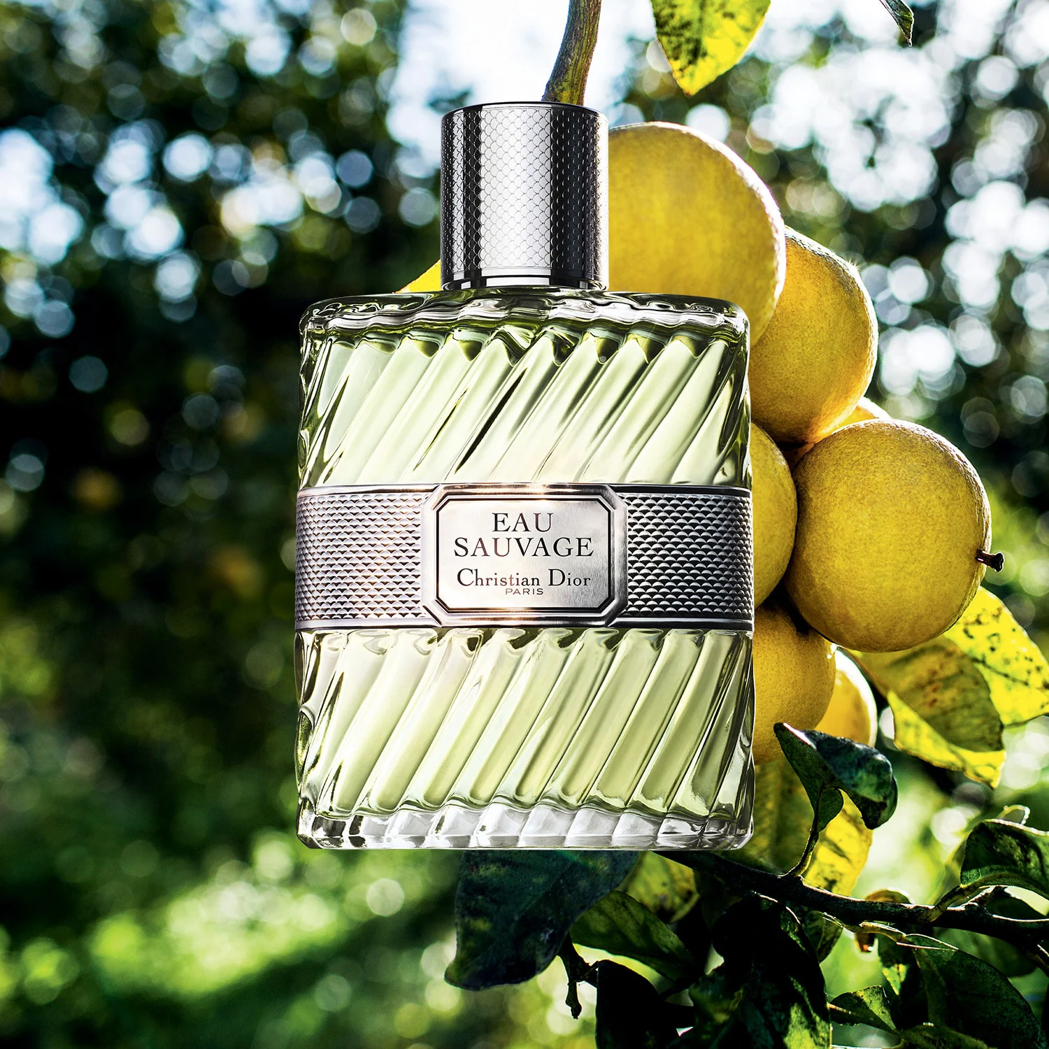 Eau Sauvage – Eau de Toilette pentru bărbați – Note proaspete și însorite