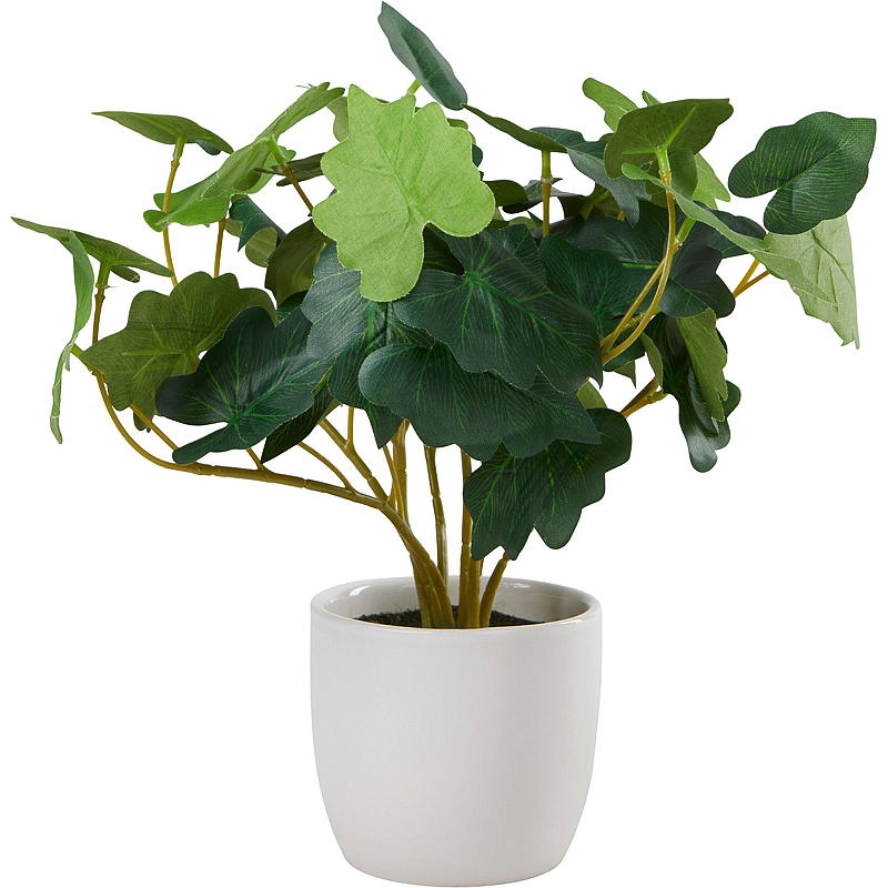 Etusivu Vihreä kasvi 25 cm posliiniruukussa