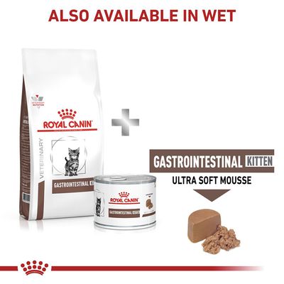 Royal Canin Vétérinaire Chat - Gastro-intestinal pour chatons