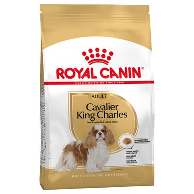 Royal Canin Cavalier King Charles Spaniel (volwassen)