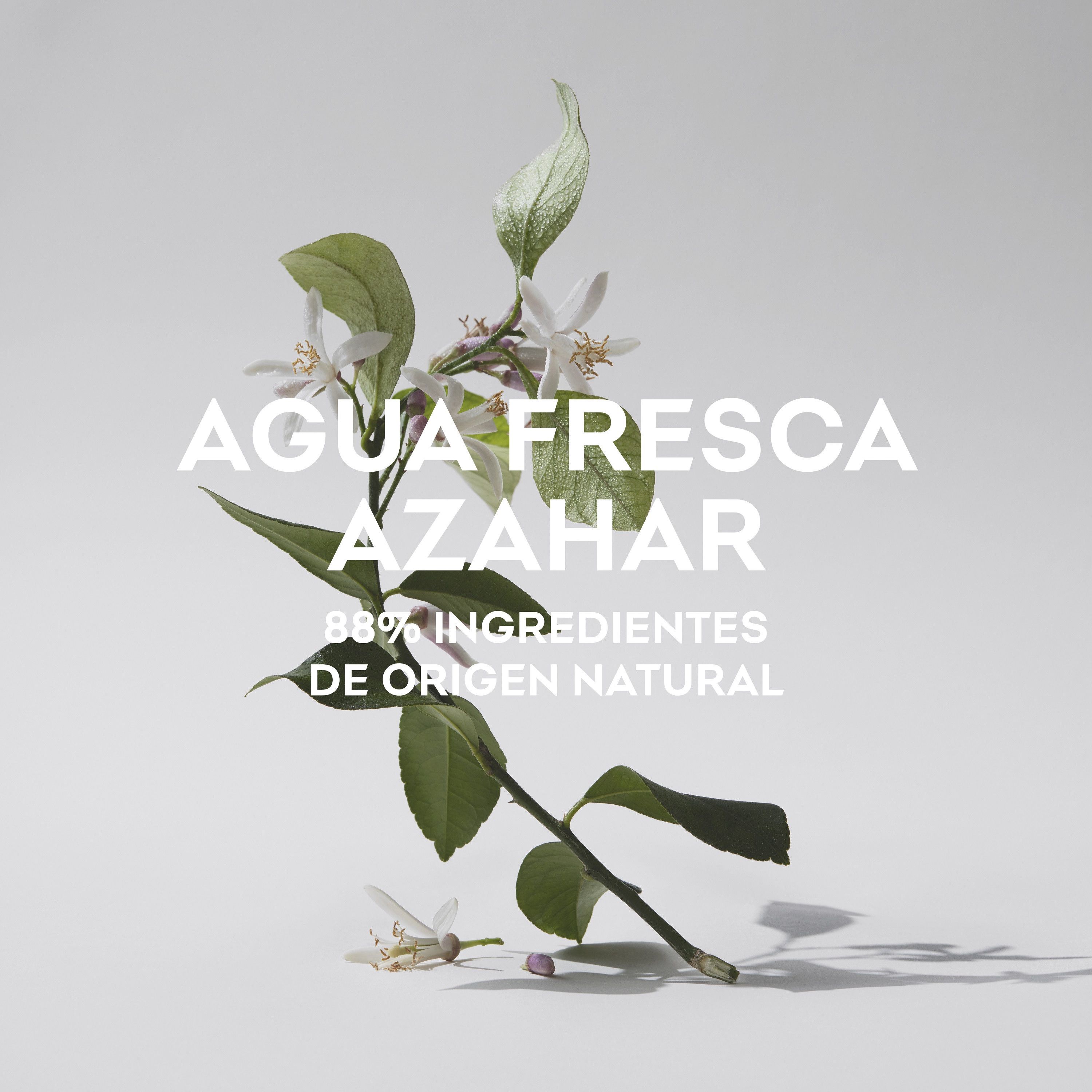 Agua Fresca de Azahar EDT Moteriški kvepalai