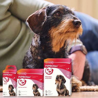 beaphar FIPROtec® Kirppu- ja punkkilääke koirille - S (2-10 kg)