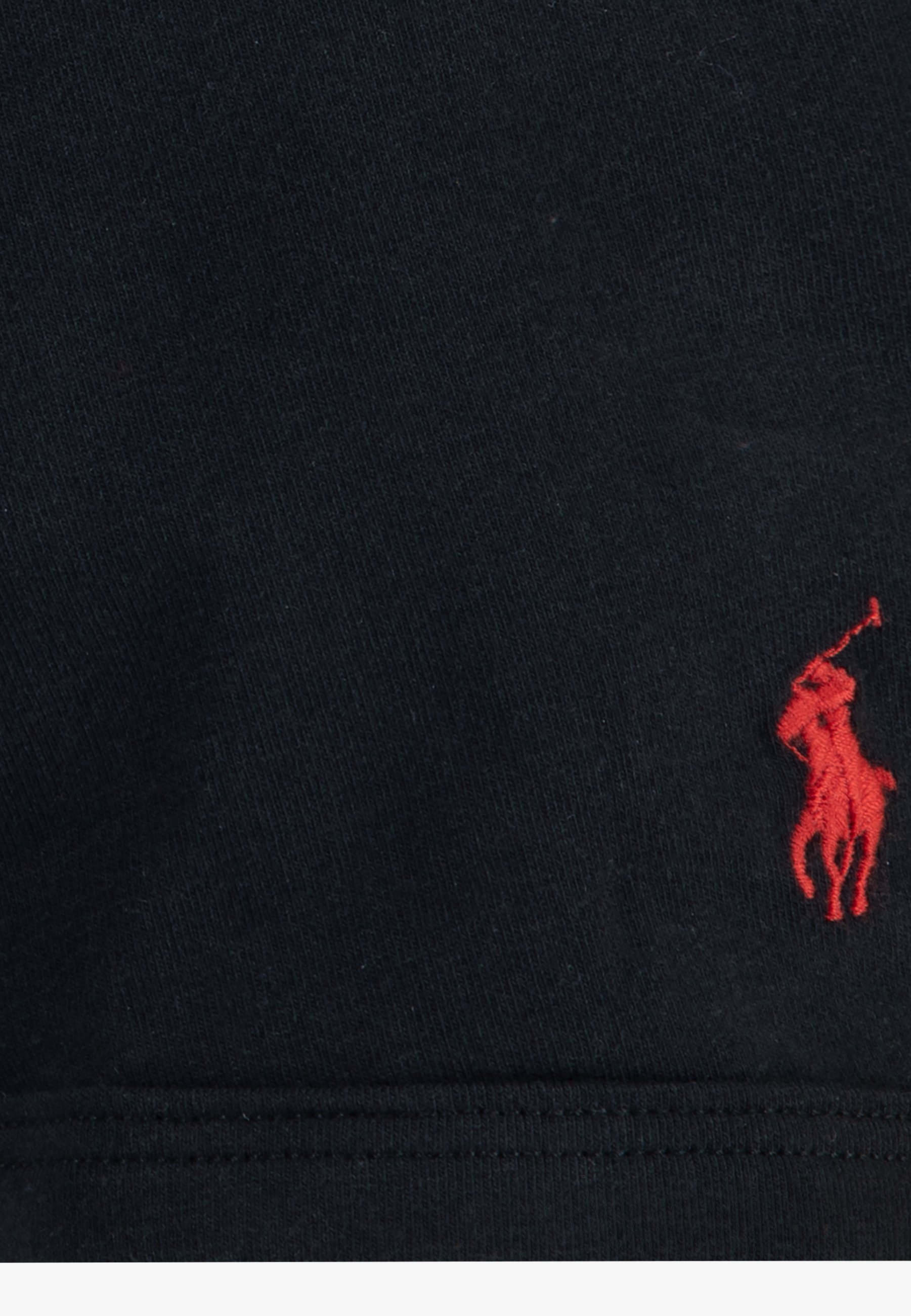 Polo Ralph Lauren STRETCH BRIEF 3-PACK - Broekjes - andover gemêleerd