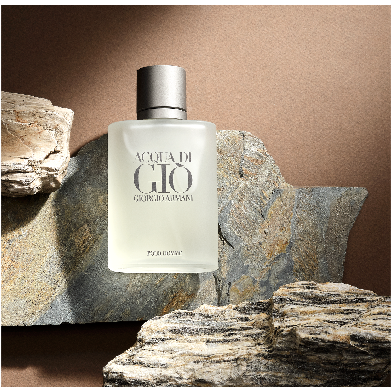 Giorgio Armani muška toaletna voda 100 ml Acqua Di Gio