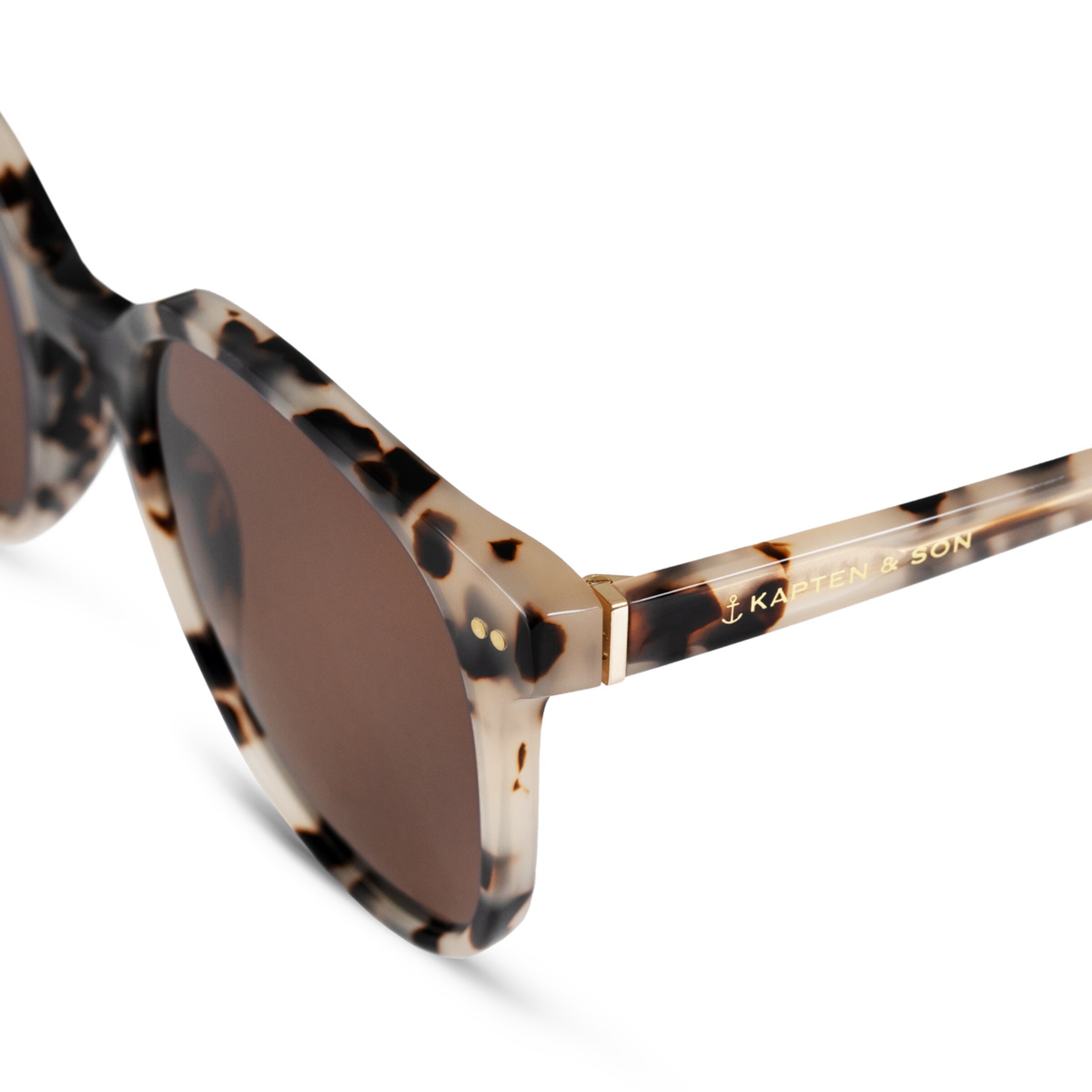 Tortue des sables de Nairobi brune
